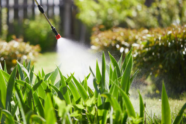 24/7 Emergency Cockroach Control experts in Sheridan, WY