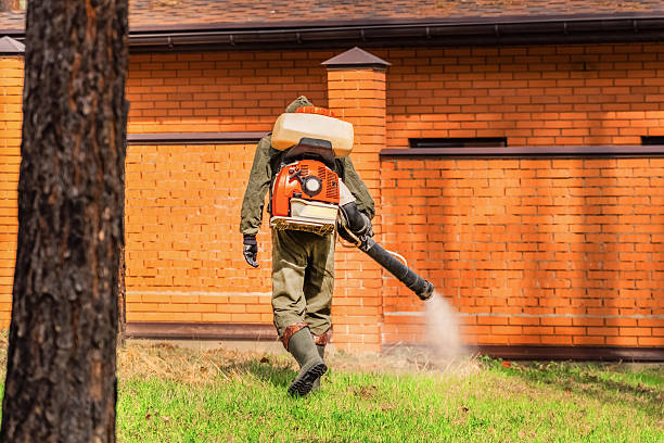 Trusted Cockroach Control service in Sheridan, WY - Nex Pest Control